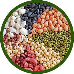 Beans & Grains